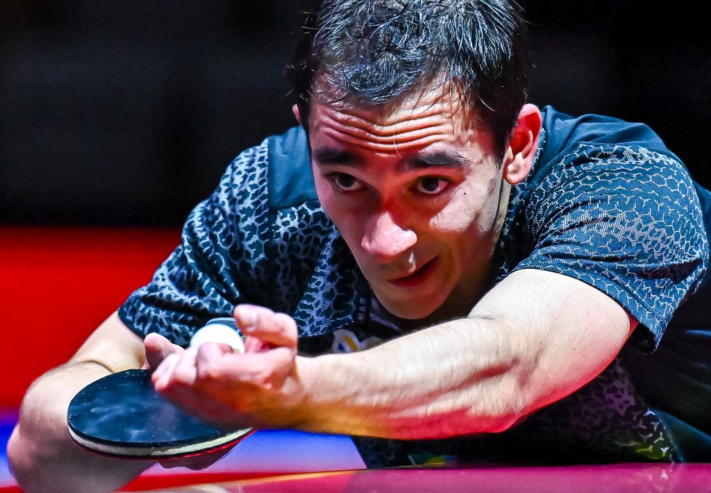 双塔阵容的 双塔阵容的