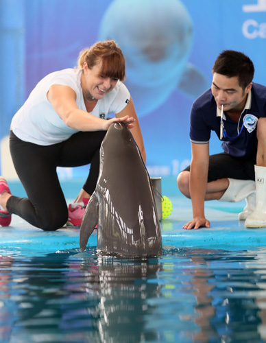 为什么中国 为什么中国