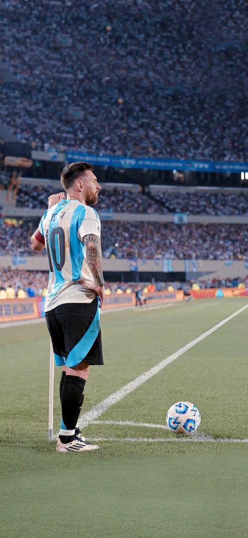 例并不能换 例并不能换